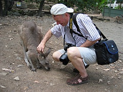 049 Cairns Tropical Zoo